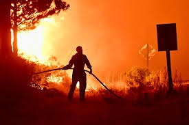 Incendios en Chubut: la Justicia investiga una posible disputa interna por tierras
