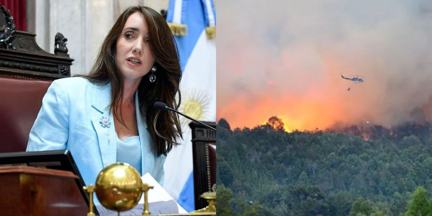 Villarruel pidió más recursos para combatir los incendios en Chubut y volvió a marcar diferencias con Milei
