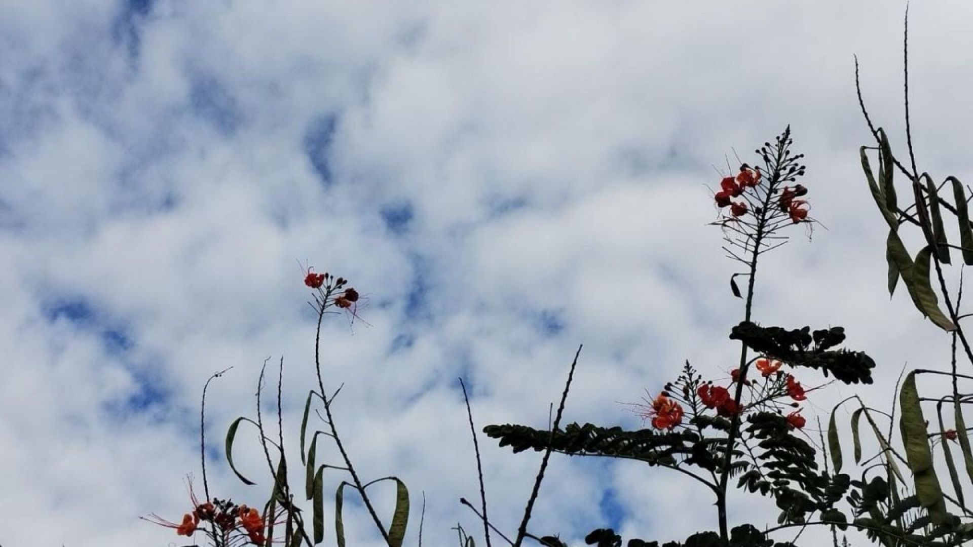 La máxima alcanzará los 35º y seguirá inestable todo el día