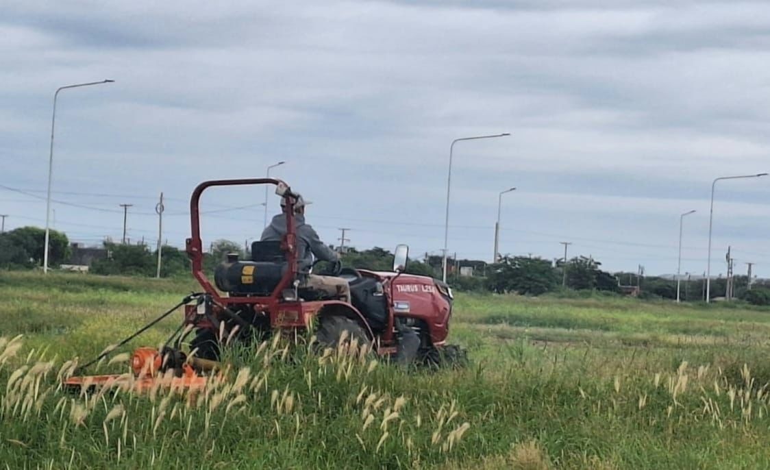La Capital refuerza tareas de desmalezamiento en barrios y espacios verdes