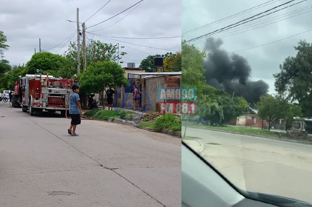 Quiso quemar un panal de abejas y provocó un incendio voraz en su mueblería